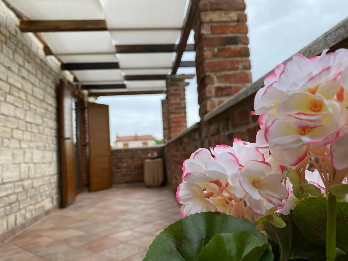 Paradise Villa Cassonni Istria 4 Stars Butkovići 펜션